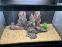 当贝智能生态鱼缸1Ultra 一体缸自循环鱼缸+希腾聚财山造景套餐 实拍图
