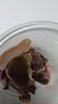 杏花楼上海特产老字号咸鸡酱鸭腊肉咸肉酱仔鹅咸香腌制熟食卤味 咸蹄髈350g 实拍图