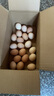 京喜加农家新鲜散养鸡蛋单枚40g正负5g谷饲蛋初生蛋溏心蛋早餐生鲜买菜 20枚 实拍图