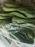 上海青500g(油菜) 实拍图