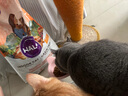 自然光环Halo【成猫健美】猫粮成猫进口无谷主粮大袋宠物成年减肥干粮蓝猫 鸡肉味10磅/4.5kg（效期26.06起) 下单抽奖·满赠好礼~详情请入会 实拍图
