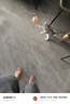 欢宠网猫玩具猫咪逗猫棒羽毛铃铛互动自嗨解闷耐咬神器猫猫小猫幼猫宠物 实拍图