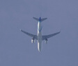 适马（SIGMA）16-300mm f3.5-6.7 DC OS ｜Contemporary 半画幅 远摄变焦镜头 旅游风光人像（索尼E卡口） 实拍图