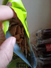 百草味 山楂卷228g/袋 山楂童年零食休闲食品 果干果脯蜜饯烘焙 实拍图