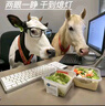 秋林里道斯 中华老字号 哈尔滨红肠 1.1KG  方便速食 熟食 香肠 红肠大礼包 实拍图