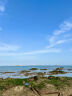 WITCEMEY香薰室内卧室香氛车载家用胖房间宿舍客厅东办公室来无火香薰 实拍图