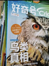 【杂志铺】好奇号2025年8月-2026年7月  1年共12期 杂志铺（先发“杂志订阅清单”）   6-12岁少儿阅读 Cricket Media中文版通识类科普小学生课外读物期刊 实拍图