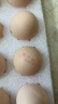 黄天鹅可生食鸡蛋 20枚/2.12斤礼盒装 生鲜鸡蛋早餐源头直发 无抗生素 实拍图