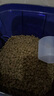 愛肯拿（ACANA）猫粮 牧场盛宴成猫幼猫粮 高蛋白无谷进口鸡肉粮5.4kg 效期26/3 实拍图