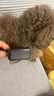 XCHO狗狗止吠器宠物震动大中小型犬电击电子项圈防吠叫防狗叫训狗神器 实拍图