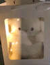 爱尚熊小羊玩偶布娃娃毛绒玩具女孩公仔女生生日礼物女送女朋友毕业礼物 实拍图