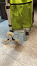 匠者折叠购物车便携轻便铝合金手拉车购物小拖车家用拉杆买菜车小拉车 青草绿六轮款铝合金购物车创新款 实拍图