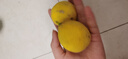 小博生鲜四川安岳黄柠檬 新鲜水果 柠檬水柠檬果鲜柠檬 酸爽多汁泡水生鲜 8个 60-80g 实拍图