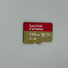 闪迪（SanDisk）256GB TF(MicroSD)内存卡 4K极速金卡A2 V30 U3行车记录仪 运动相机无人机 监控存储卡 读190MB/s 实拍图