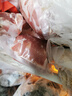 楮木香排骨 肋排 黑猪肉 构树饲养土猪肉猪小排烧烤 猪肉 生鲜源头直发 构树黑猪肋排3斤 实拍图