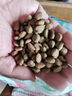 麦富迪狗粮 藻趣儿狗粮幼犬粮牛肉螺旋藻 呵护肠胃2.5kg 实拍图