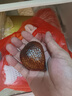 橙市码头印尼蛇皮果 新鲜进口稀有水果 罕见特别稀奇古怪热带水果精美礼盒 4斤装【稀罕水果 净重3.5斤】 实拍图