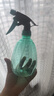 喷壶浇花浇水喷雾器气压式喷水壶家用园艺养花500ml 南瓜喷壶透蓝【1个装】 实拍图
