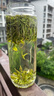 打鼓岭茶叶绿茶正宗黄山毛峰茶春茶明前200g配礼袋源头直发中秋礼盒送人 实拍图