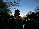 京东京造典藏香氛洗衣凝珠104颗+氧基植萃104颗除菌除螨浓缩洗衣液  实拍图