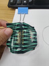 网易严选【安心品质】超值抑菌T205g棉T恤100%新疆棉10A抗菌短袖白T学家 米杏黄-春夏升级 XL 实拍图