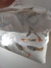 孔雀鱼天使鱼 纯种观赏鱼淡水好养热带小型观赏鱼 孔雀鱼4条送备损2条 实拍图