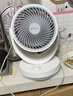 艾美特（AIRMATE）空气循环扇家用节能小型落地电风扇四季循环对流换气桌面小风扇大风量宿舍台式摇头轻音电扇 X28 实拍图