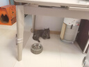 霍尼韦尔（Honeywell）宠物空气净化器吸猫毛除过敏源猫猫搭子 猫毛净化器杀菌消毒除异味【家电国家补贴】KJ360F-C22W 实拍图