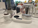 夏普多功能养生壶 电热水壶花茶壶烧水壶恒温壶 煮养生汤银耳羹茶果茶 KP-ST10L-W 白色 0.8L 实拍图