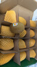 佳沛（zespri）新西兰 阳光金奇异果12粒礼盒特大果单果约122-146g 猕猴桃 水果 实拍图