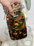 拜杰玻璃密封罐子泡酒瓶4个装1500ml泡菜坛子罐五谷杂粮储物罐密封罐 实拍图