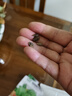 超甜蜂蜜小西瓜种子红玉无籽小西瓜四季种植阳台庭院盆栽水果种子 蜂蜜盆栽小西瓜种子（30天可吃） 高产良种：1包约40粒【新种 实拍图