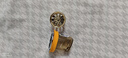 加仕高地漏防臭芯【2个装】卫生间下水道通用防虫防水防臭神器堵臭器 实拍图