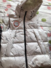 京东洗衣服务 羽绒服/棉服清洗5件 上门取送去渍整形 价值2000元内 实拍图