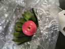 曜果广西香蕉 小米蕉   新鲜水果 生鲜 生果 小米蕉是小的 小米蕉 5斤 （青蕉需催熟后食用） 实拍图