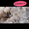 鲜美来大颗粒虾滑150g烧烤串火锅虾丸关东煮虾饼早餐生鲜海鲜虾仁 实拍图