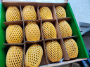 佳沛（zespri）新西兰  金果10粒猕猴桃礼盒巨大果单果144-175g 端午节水果礼盒 实拍图