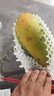 颜小荭越南大青芒果新鲜当季现摘特大整箱青皮水果芒果源头直发 8.5-9斤家庭装（单果450g起） 实拍图