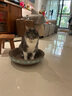 疯狂的主人猫抓板窝碗形大号猫抓盆不掉屑猫窝宠物猫玩具瓦楞纸猫爪板 实拍图