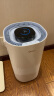 美的（Midea）【小蓝鲸600】无雾加湿器家用卧室落地式空气加湿净化小型工业商用雾化器母亲节礼物国家补贴2Y50 实拍图