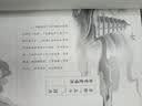 长安好诗三万里  大师讲解梦回大唐王维李白杜甫白居易时代融诗史传于一体 诗词故事 文学书籍 青少年读诗词唐代 实拍图