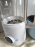 olayks立时 破壁机家用 豆浆机 全自动免煮五谷杂粮 小型1-2人多功能免洗榨汁机料理机 0.8L 实拍图