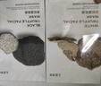 阿芙（AFU）黑白松露面膜套装 白松露面膜2盒+黑松露面膜2盒 送女友礼物 实拍图