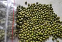 农家绿豆 中小颗粒 新豆打豆浆发豆芽绿豆汤绿豆沙粽子 小粒绿豆250g 实拍图