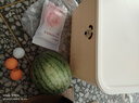 【百万爆款】奶油风收纳箱特大号带盖杂物整理衣物化妆品玩具储物 【热销】高款特大号-带盖 实拍图