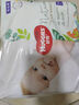 好奇好奇心钻装小森林婴儿拉拉裤 超薄透气通用尿不湿小内裤 森林密语 森林密语拉拉裤XL30片1包 通用 实拍图