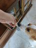 疯狂小狗宠物狗零食火腿肠训犬奖励成幼犬通用  脆骨鸡肉肠360g(18g*20) 实拍图