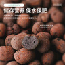 德沃多肥料 碳球陶粒5L(15-30mm) 花盆垫底拌土回填保水透气无土栽培基质 实拍图