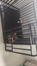 喵先生狗笼中大型犬小型犬狗笼子带厕所家用宠物狗窝围栏狗屋狗狗用品 六面全方管加固款110*75*90cm 实拍图