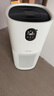 东芝（TOSHIBA）大白梨Pro空气净化器加湿器净化加湿一体机等离子消杀病毒除甲醛过敏源【国家补贴】 实拍图